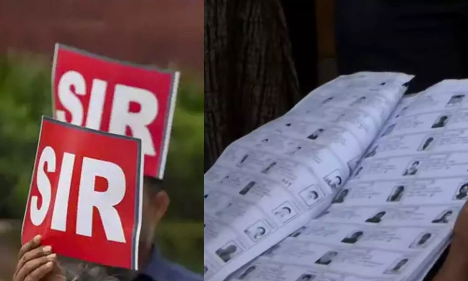 വോട്ടർപട്ടിക ശുദ്ധീകരണവാദം പൊളിയുന്നു; ഇരട്ടവോട്ട് കണ്ടെത്താനോ,ചേർക്കുന്നത് തടയാനോ എസ്ഐആറിൽ സംവിധാനമില്ല വോട്ടർപട്ടിക ശുദ്ധീകരണവാദം പൊളിയുന്നു; ഇരട്ടവോട്ട് കണ്ടെത്താനോ,ചേർക്കുന്നത് തടയാനോ എസ്ഐആറിൽ സംവിധാനമില്ല