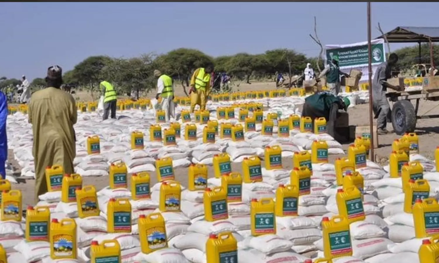 അതിരുകളില്ലാത്ത അലിവ്, മധ്യ ആഫ്രിക്കൻ രാജ്യമായ ഛാഡിലേക്ക് സൗദിയുടെ സഹായം