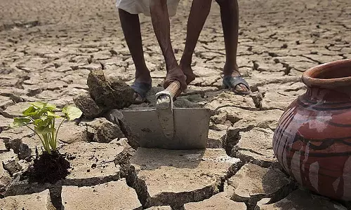 രണ്ട് ഏക്കറിലെ കൃഷി കനത്തമഴയിൽ നശിച്ചു; നഷ്ടപരിഹാരമായി മഹാരാഷ്ട്രയിലെ കര്ഷകന് കിട്ടിയത് വെറും ആറുരൂപ! രണ്ട് ഏക്കറിലെ കൃഷി കനത്തമഴയിൽ നശിച്ചു; നഷ്ടപരിഹാരമായി മഹാരാഷ്ട്രയിലെ കര്ഷകന് കിട്ടിയത് വെറും ആറുരൂപ!