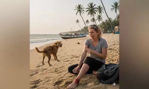 കോവളം ബീച്ചിൽ റഷ്യൻ വനിതയെ തെരുവ് നായ കടിച്ചു