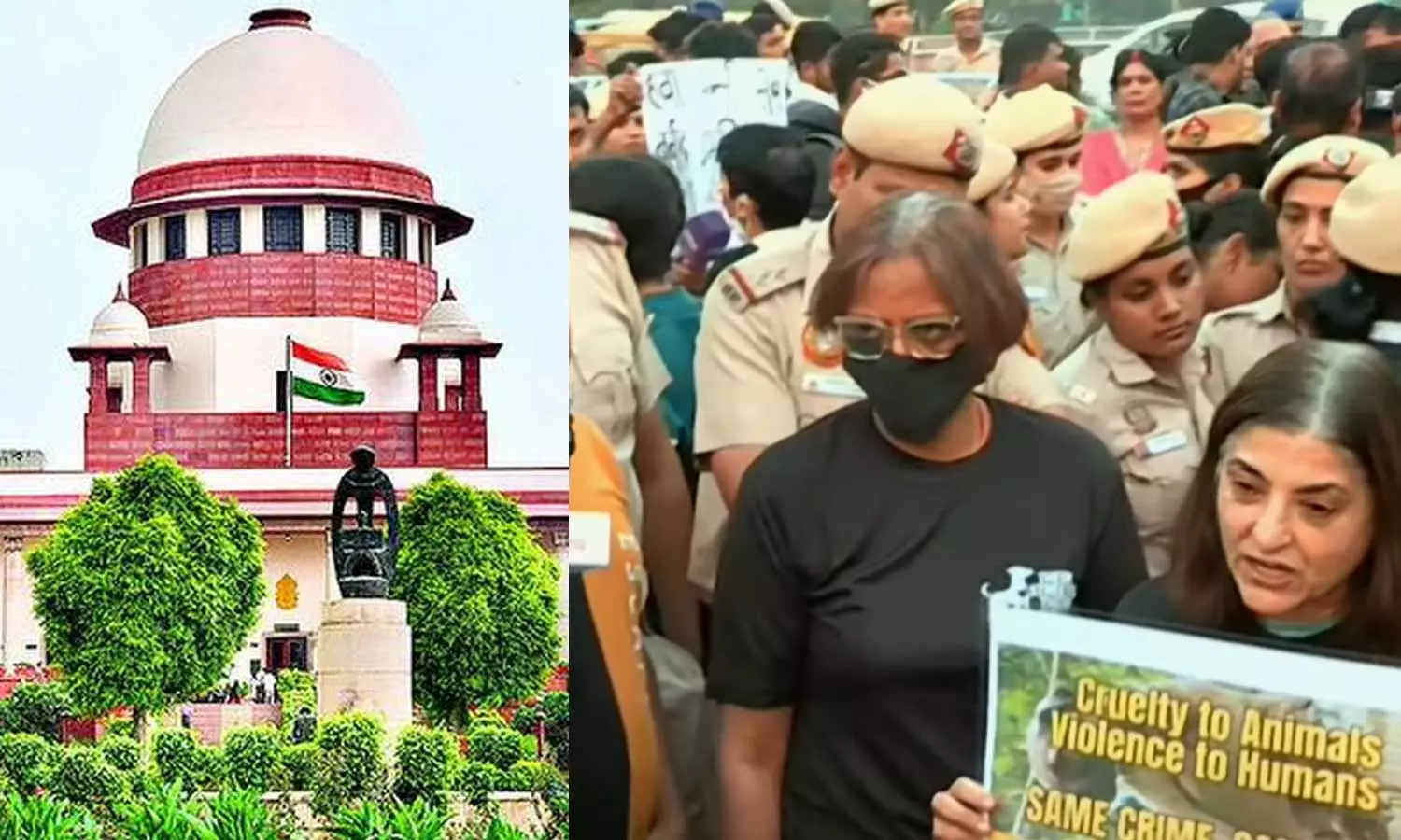 നോ ഡോ​ഗ്, നോ വോട്ട് സുപ്രിംകോടതി നിർദേശത്തിനെതിരെ ഇന്ത്യാ​ഗേറ്റിൽ മ‍ൃ​ഗസ്നേഹികളുടെ പ്രതിഷേധം