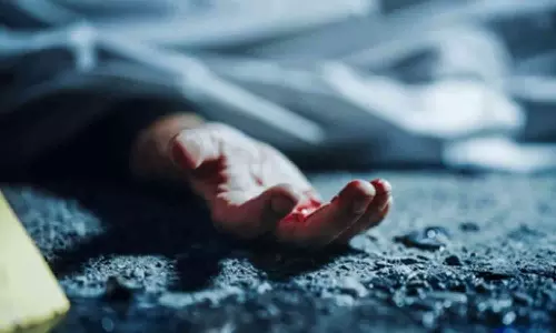 കുട്ടിയുടെ മരണം; അച്ഛന്റെ സംശയത്തിന് പിന്നാലെ അമ്മയും സ്വവർഗാനുരാഗ പങ്കാളിയും അറസ്റ്റിൽ