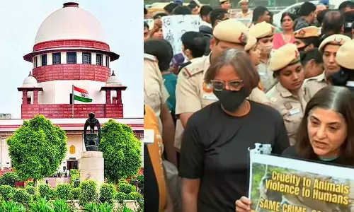 നോ ഡോ​ഗ്, നോ വോട്ട് സുപ്രിംകോടതി നിർദേശത്തിനെതിരെ ഇന്ത്യാ​ഗേറ്റിൽ മ‍ൃ​ഗസ്നേഹികളുടെ പ്രതിഷേധം