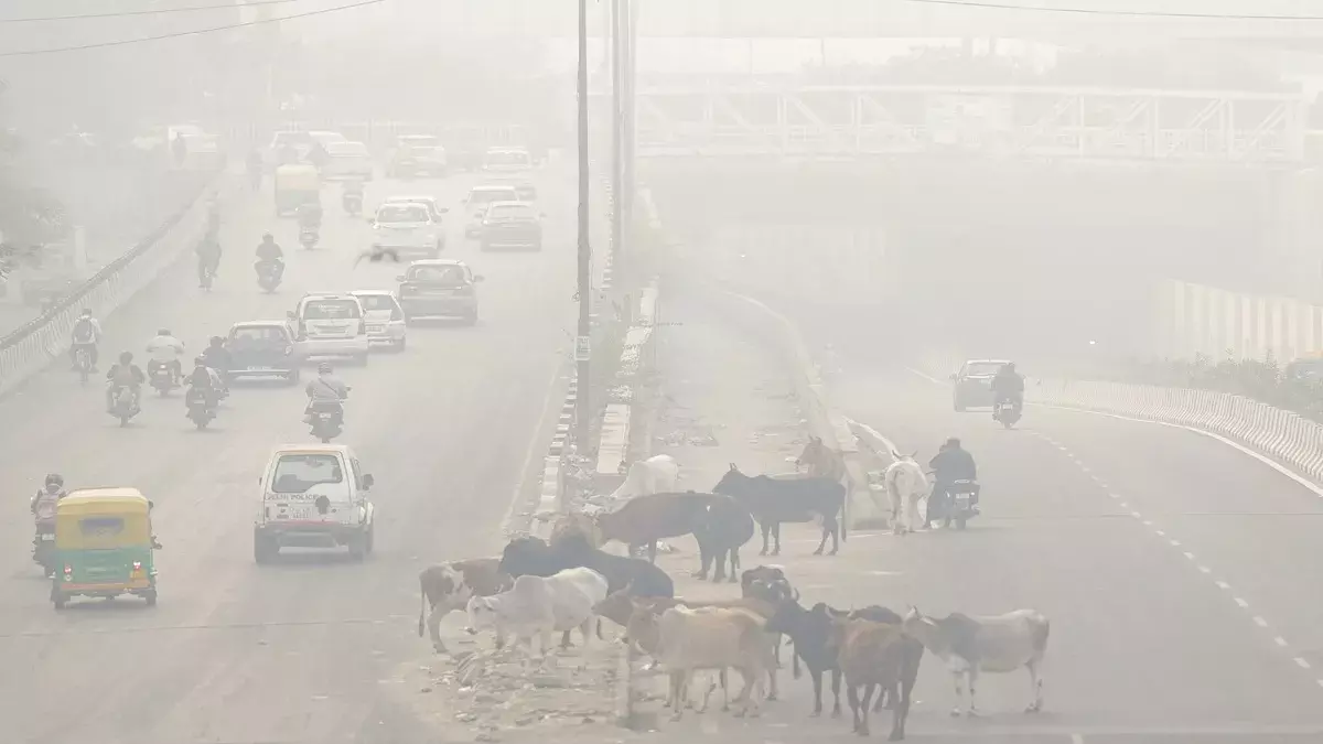 1000 സിഗരറ്റ് വലിക്കുന്നതിന് തുല്യം; 15 ദിവസത്തെ ഡൽഹി സന്ദര്‍ശനത്തിനിടെ കടുത്ത ആരോഗ്യ പ്രശ്നങ്ങളെന്ന് ഐപിഎസ് ഉദ്യോഗസ്ഥൻ
