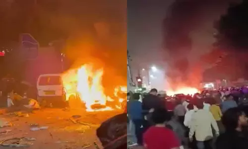 Vehicle owner in custody in Delhi blast