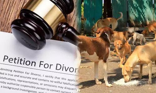 Gujarat man files divorce over wifes love for stray dogs