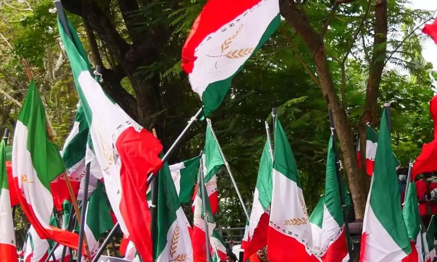 മുക്കം നഗരസഭയിലേക്ക് ഒറ്റക്ക് മത്സരിക്കാൻ വെൽഫെയർ പാർട്ടി മുക്കം നഗരസഭയിലേക്ക് ഒറ്റക്ക് മത്സരിക്കാൻ വെൽഫെയർ പാർട്ടി