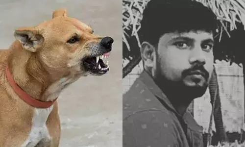 Tamil Nadu Man Dies Of Rabies After He Refused Treatment For Dog Bite