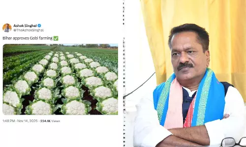 ബിഹാർ കോളിഫ്ലവർ കൃഷി അംഗീകരിച്ചിരിക്കുന്നു: ഭാഗൽപൂർ കൂട്ടക്കൊല ഓർമിപ്പിച്ച് അസം ബിജെപി മന്ത്രി