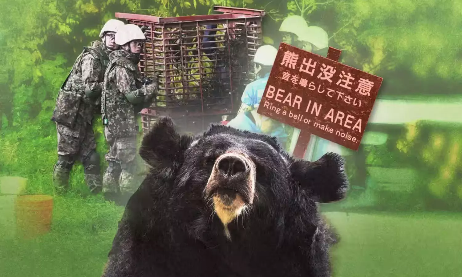 Surging Bear Attacks Force Japan To Deploy Military