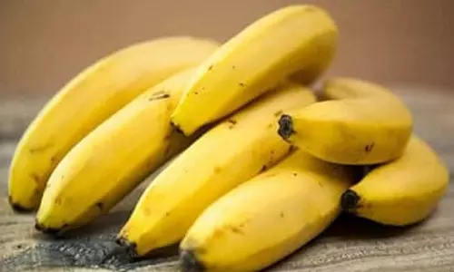 ദിവസവും നേന്ത്രപ്പഴം കഴിക്കുന്നവരാണോ?; സൂക്ഷിച്ചില്ലേൽ പണികിട്ടും