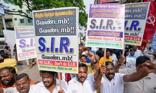 Revenue dept staff who works as BLOs to boycott SIR work in TN citing overload