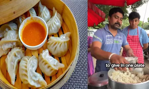 അഞ്ച് മണിക്കൂർ ജോലി, മോമോസ് വിൽപ്പനക്കാരൻ ദിവസം സമ്പാദിക്കുന്നത് ഒരു ലക്ഷംരൂപ..!; സോഷ്യൽമീഡിയയിൽ  വൈറലായി വിഡിയോ, ചൂടുപിടിച്ച് ചർച്ച