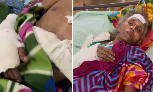 പറമ്പിൽ കോഴി കയറിയെന്നാരോപിച്ച് വയനാട്ടിൽ വൃദ്ധ ദമ്പതികൾക്ക് ക്രൂരമർദനം; കൈകൾ തല്ലിയൊടിച്ചു