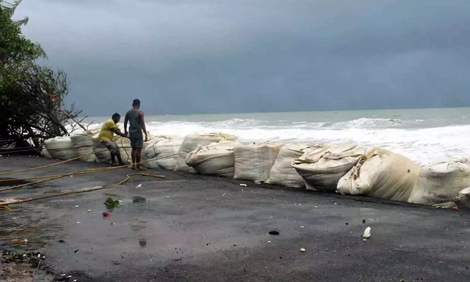 കള്ളക്കടല് പ്രതിഭാസത്തിന് സാധ്യത, സംസ്ഥാനത്തെ തീരദേശങ്ങളില് അതീവജാഗ്രതാ നിര്ദേശം കള്ളക്കടല് പ്രതിഭാസത്തിന് സാധ്യത, സംസ്ഥാനത്തെ തീരദേശങ്ങളില് അതീവജാഗ്രതാ നിര്ദേശം