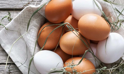 വെള്ള മുട്ടയോ തവിട്ട് മുട്ടയോ?; ഏതാണ് പോഷകസമൃദ്ധം?