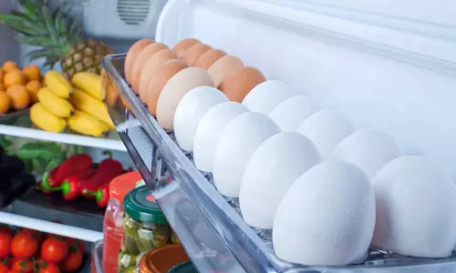 മുട്ട കഴുകി ഫ്രിഡ്ജിൽ സൂക്ഷിക്കാറുണ്ടോ? എങ്കിൽ അറിഞ്ഞിരിക്കണം ഈ കാര്യങ്ങൾ