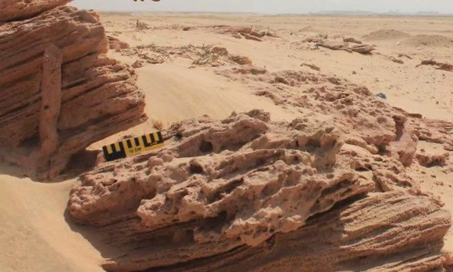 കുവൈത്തിൽ ആദ്യ ജിയോളജിക്കൽ പാർക്ക് പ്രഖ്യാപിച്ചു