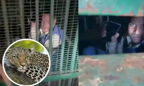 Man attempts to steal goat gets trapped overnight in Leopard cage in UP
