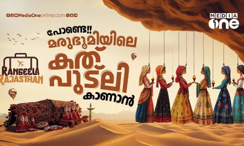 mediaone rangeela rajasthan