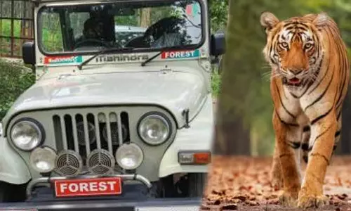 കടുവകളുടെ എണ്ണം എടുക്കാനായി പോയപ്പോള്‍ വനത്തിൽ കുടുങ്ങി;  ഫോറസ്റ്റ് ഉദ്യോഗസ്ഥയടക്കം മൂന്നുപേരെ കണ്ടെത്തി