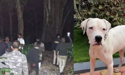 രാത്രി മുഴുവന്‍ തെരച്ചില്‍; കാപ്പിത്തോട്ടത്തിൽ കുടുങ്ങിയ കുഞ്ഞിനെ കണ്ടെത്തിയത് വളർത്തുനായ