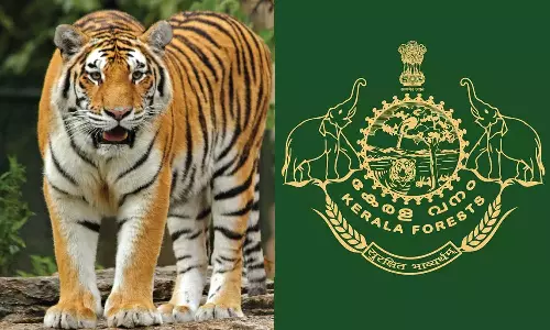 Forest guard team going for tiger census in Palakkad got stuck in the forest Forest guard team going for tiger census in Palakkad got stuck in the forest