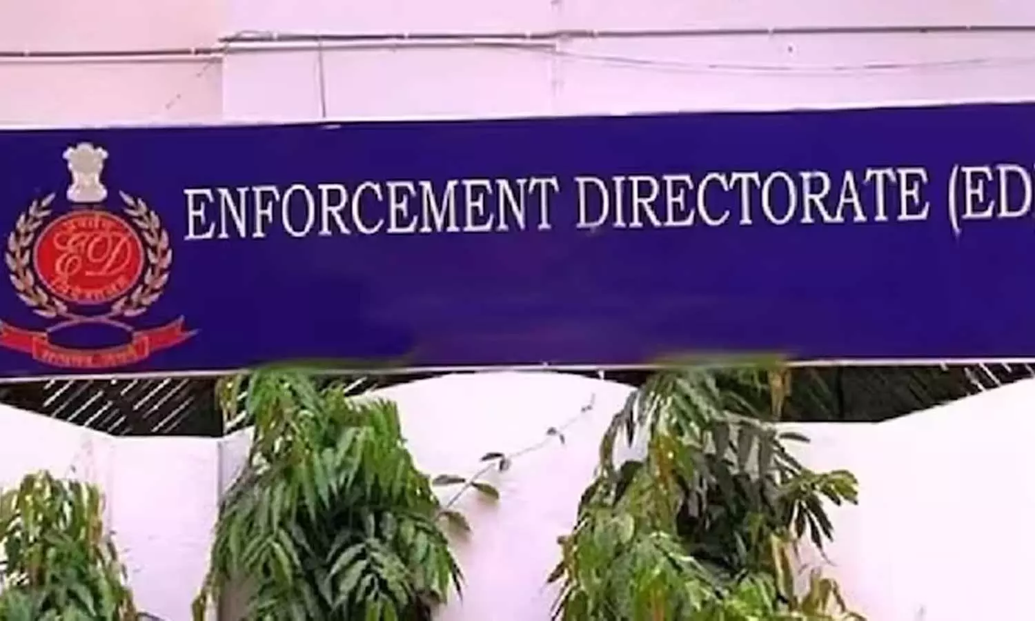 കഴിഞ്ഞ 11 വർഷങ്ങളിൽ ഇഡി രജിസ്റ്റർ ചെയ്തത് 6,312 കേസുകൾ; ശിക്ഷിക്കപ്പെട്ടത് 120 പേർ മാത്രം കഴിഞ്ഞ 11 വർഷങ്ങളിൽ ഇഡി രജിസ്റ്റർ ചെയ്തത് 6,312 കേസുകൾ; ശിക്ഷിക്കപ്പെട്ടത് 120 പേർ മാത്രം