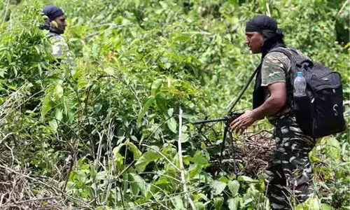 ഛത്തിസ്ഗഢിൽ മാവോയിസ്റ്റുകളും സുരക്ഷ സേനയും തമ്മിൽ ഏറ്റുമുട്ടൽ; 12 മാവോയിസ്റ്റുകളെ വധിച്ചു, മൂന്ന് സൈനികർക്ക് വീരമൃത്യു ഛത്തിസ്ഗഢിൽ മാവോയിസ്റ്റുകളും സുരക്ഷ സേനയും തമ്മിൽ ഏറ്റുമുട്ടൽ; 12 മാവോയിസ്റ്റുകളെ വധിച്ചു, മൂന്ന് സൈനികർക്ക് വീരമൃത്യു