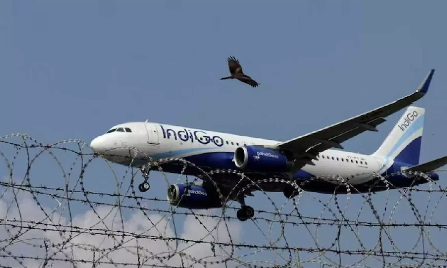 ഇന്ഡിഗോ പ്രതിസന്ധി: ഡിജിസിഎയ്ക്ക് വീഴ്ച പറ്റിയോയെന്ന് പരിശോധിക്കുമെന്ന് വ്യോമയാനമന്ത്രി ഇന്ഡിഗോ പ്രതിസന്ധി: ഡിജിസിഎയ്ക്ക് വീഴ്ച പറ്റിയോയെന്ന് പരിശോധിക്കുമെന്ന് വ്യോമയാനമന്ത്രി