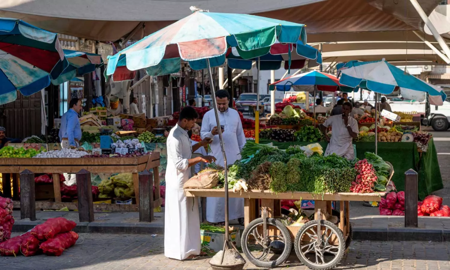 Increase in food self-sufficiency in Saudi Arabia; exceeds 100% in many items Increase in food self-sufficiency in Saudi Arabia; exceeds 100% in many items