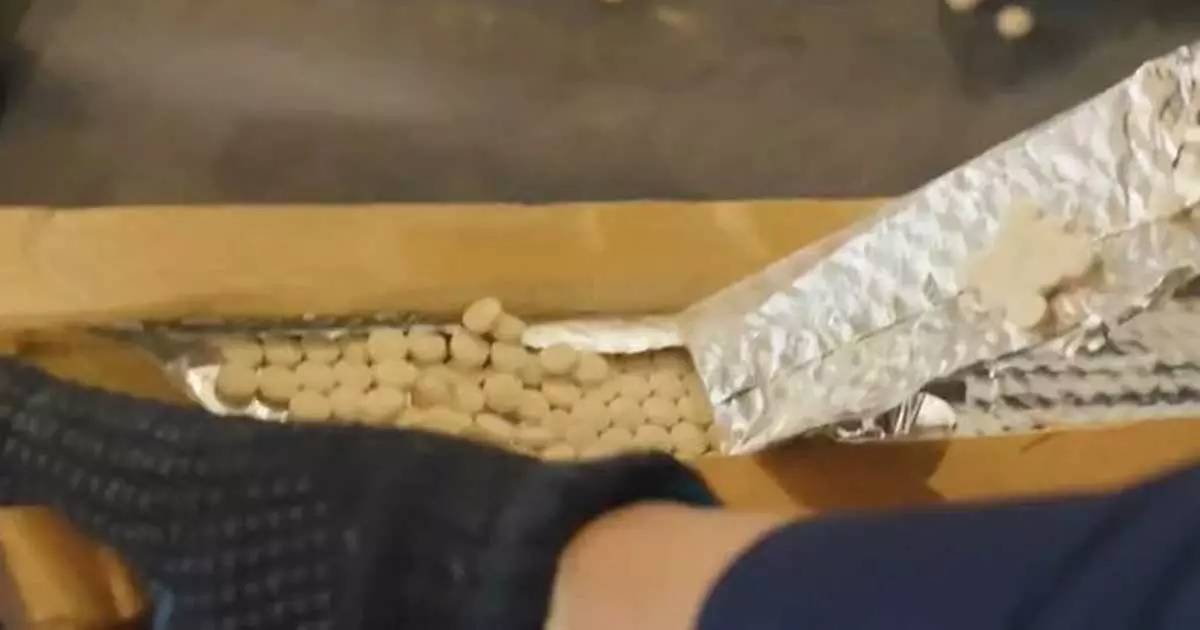 സൗദിയിൽ വൻ മയക്കുമരുന്ന് വേട്ട; 3,68,232 ലഹരി ഗുളികകൾ പിടികൂടി സൗദിയിൽ വൻ മയക്കുമരുന്ന് വേട്ട; 3,68,232 ലഹരി ഗുളികകൾ പിടികൂടി