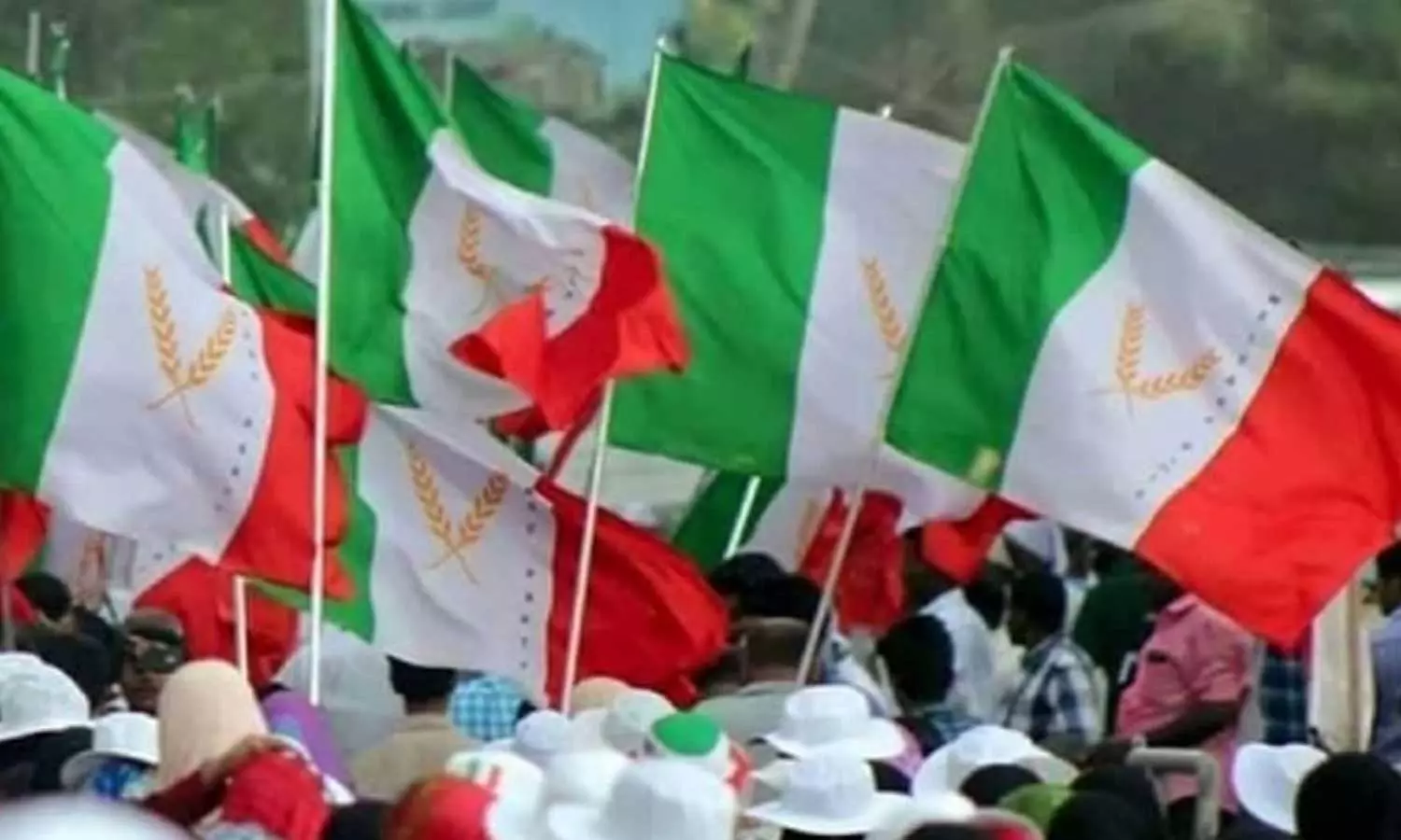 തദ്ദേശ തെരഞ്ഞെടുപ്പ് ഫലം; കേരളത്തിലുടനീളം 75 സീറ്റുകൾ നേടി വെൽഫെയർ പാർട്ടി തദ്ദേശ തെരഞ്ഞെടുപ്പ് ഫലം; കേരളത്തിലുടനീളം 75 സീറ്റുകൾ നേടി വെൽഫെയർ പാർട്ടി