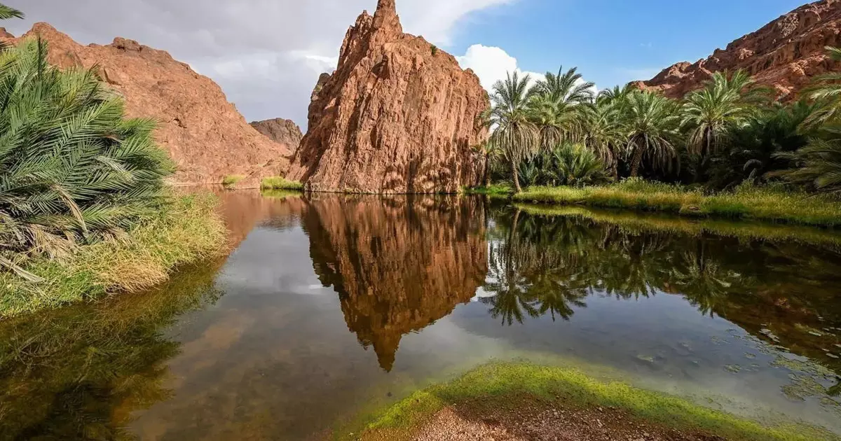 More than 3 million visitors arrived in Hail province in the first half of 2025 More than 3 million visitors arrived in Hail province in the first half of 2025