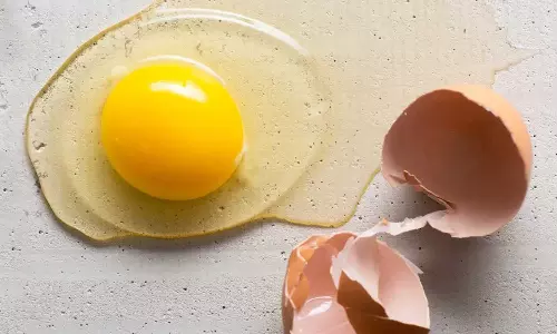 മുട്ടയുടെ മഞ്ഞക്കരു വില്ലനാണോ?, ഹൃദയാഘാതമുണ്ടാകുമോ?; യാഥാർഥ്യമറിയാം... മുട്ടയുടെ മഞ്ഞക്കരു വില്ലനാണോ?, ഹൃദയാഘാതമുണ്ടാകുമോ?; യാഥാർഥ്യമറിയാം...