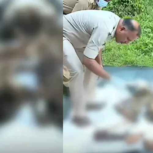 കൊല്ലത്ത് ആൾത്താമസമില്ലാത്ത വീട്ടിൽ അസ്ഥികുടം കണ്ടെത്തി