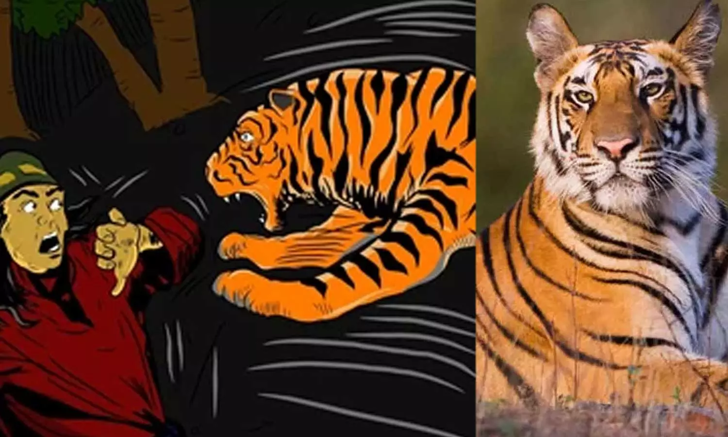 വയനാട്ടിൽ കടുവ ആക്രമണത്തിൽ ഒരാൾ കൊല്ലപ്പെട്ടു വയനാട്ടിൽ കടുവ ആക്രമണത്തിൽ ഒരാൾ കൊല്ലപ്പെട്ടു