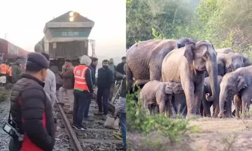 5 Rajdhani Express Coaches Derail 7 Elephants Killed After Collision In Assam
