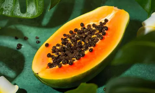 കാൻസർ പ്രതിരോധത്തിനടക്കം ഗുണം ചെയ്യും; പപ്പായ വിത്തുകൾ കളയേണ്ട