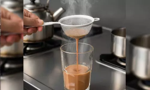 ചായ അരിക്കാൻ പ്ലാസ്റ്റിക്ക് അരിപ്പയാണോ ഉപയോഗിക്കാറ്..?; എങ്കിൽ ഇക്കാര്യങ്ങളും അറിഞ്ഞിരിക്കുക...