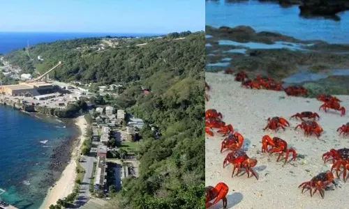 ഇന്ത്യൻ മഹാസമുദ്രത്തിലെ ഗാലപാഗോസ്; അറിയാം ക്രിസ്മസ് ദ്വീപിൻ്റെ പ്രത്യേകതകൾ