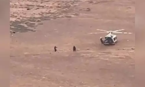 ഹാഇലിലെ അഗ്‌നിപർവത ഗർത്തത്തിൽ വീണ സൗദി പൗരനെ രക്ഷിച്ചു