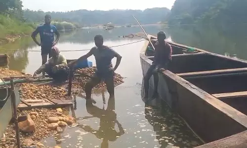 നിലമ്പൂർ വനത്തിൽ സ്വർണ ഖനനം: ഏഴുപേർ പിടിയിൽ