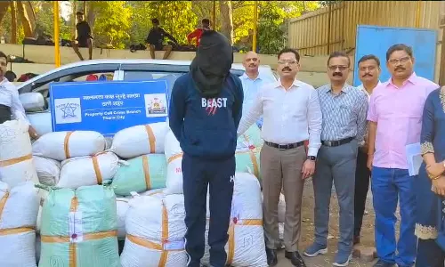 താനെയില്‍ വന്‍ മയക്കുമരുന്ന് വേട്ട; 2 കോടി വിലമതിക്കുന്ന 638 കിലോ കഞ്ചാവുമായി ഒരാള്‍ പിടിയില്‍