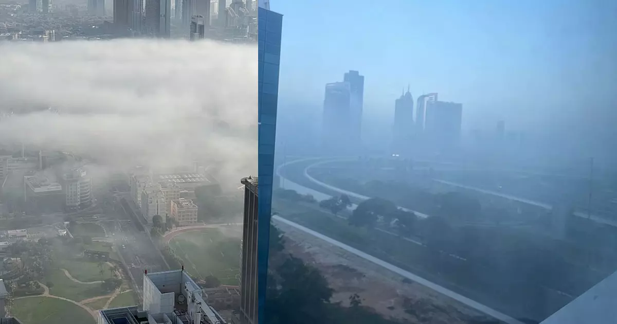 Heavy fog in many parts of the UAE Heavy fog in many parts of the UAE