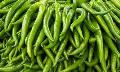 ഞെട്ട് കളഞ്ഞാൽ പച്ചമുളക് കേടുകൂടാതെയിരിക്കുമോ? യാഥാർഥ്യമറിയാം