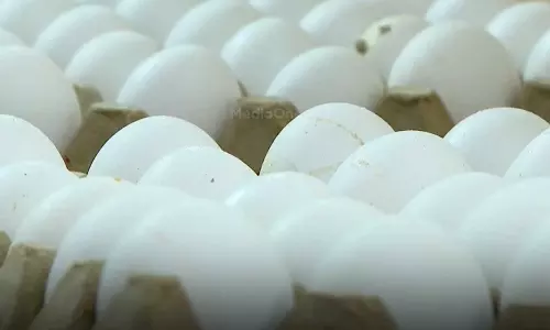 മുട്ടയ്ക്ക് മുട്ടന്‍ വില; ഡിമാൻഡ് കൂടിയതോടെ കേരളത്തിലും മുട്ട വില കുതിച്ചുയരുന്നു