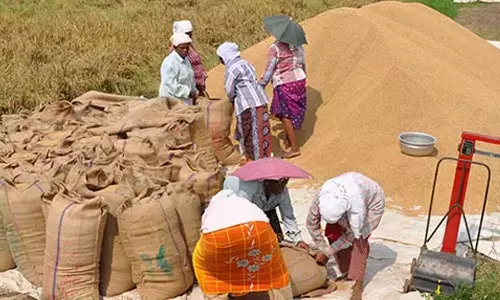 നെല്ല് സംഭരണ ചുമതല സഹകരണ സംഘങ്ങളെ ഏൽപ്പിക്കാൻ തീരുമാനം