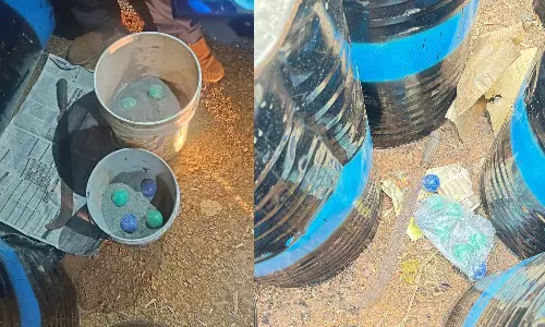 കണ്ണൂ‍രിൽ ബോംബെന്ന് സംശയിക്കുന്ന ഐസ്ക്രീം ബോളുകൾ കണ്ടെത്തി