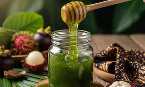 കിലോഗ്രാമിന് 10 ലക്ഷം രൂപവരെ;  അറിയാം സ്വർണത്തെക്കാൾ വിലയേറിയ പച്ചതേനിൻ്റെ ഗുണ ഫലങ്ങൾ